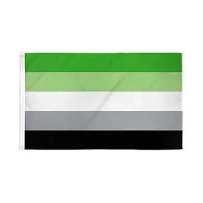 Flags Importer 3' x 5' Aromantic Pride Flag