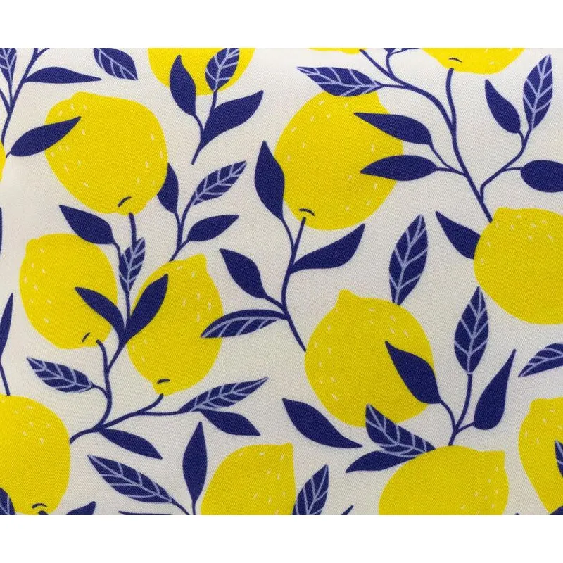 LEMONI